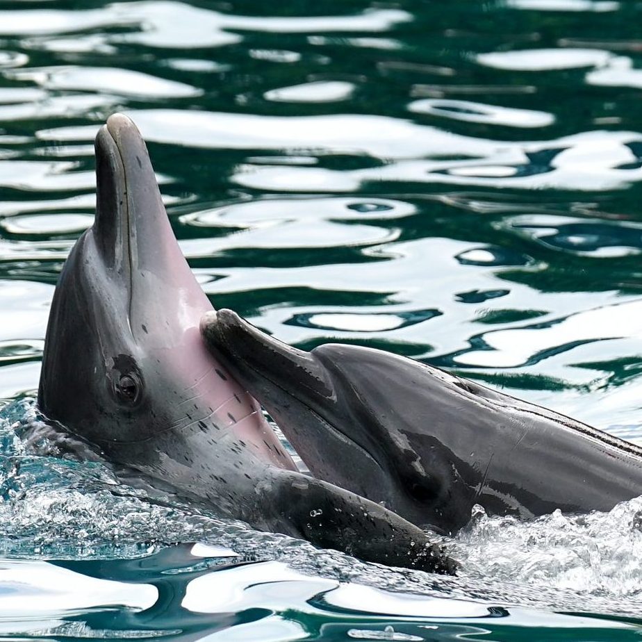 Für Dein Liebesleben