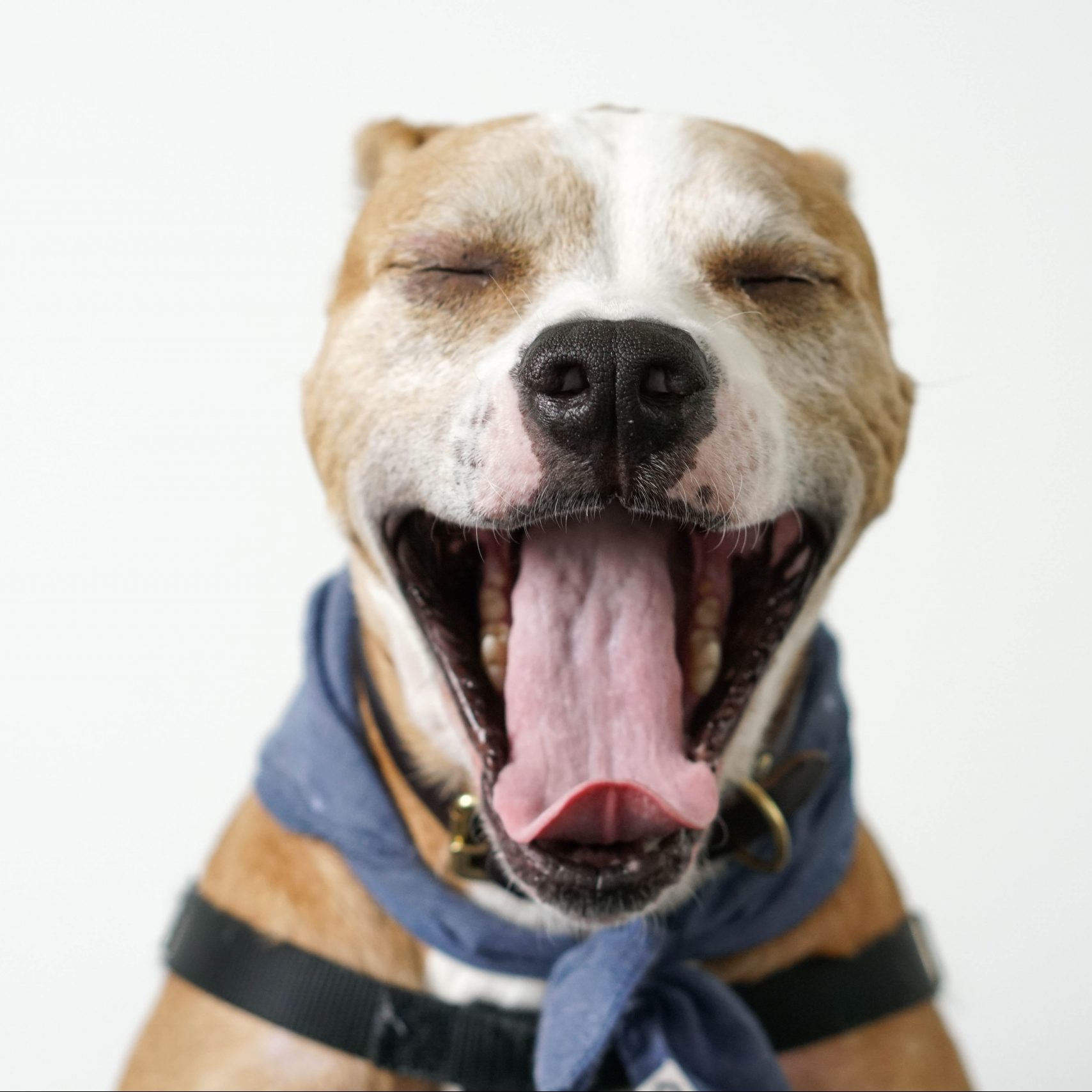 gesundes Frühstück