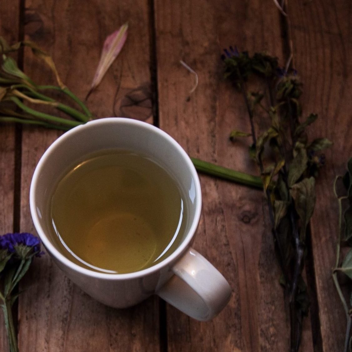 leckere Kräutertees