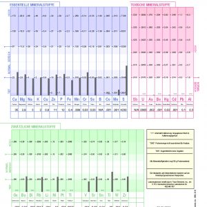 Haarmineralanalyse 2